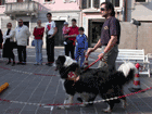 ingrandisci