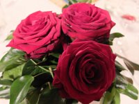 DSCF7080