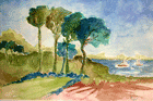 ingrandisci